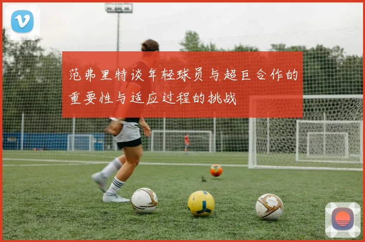 范弗里特谈年轻球员与超巨合作的重要性与适应过程的挑战